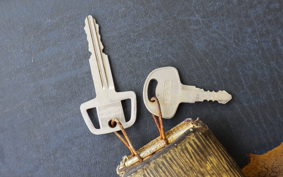 SUZUKI TS50 Hustler SA11A