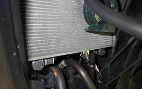 KAWASAKI NINJA 250R 2013 EX250K