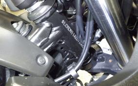 SUZUKI GSX250 R 2023