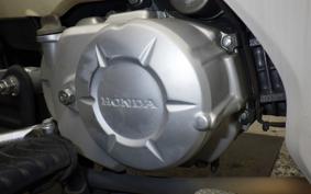 HONDA C110 SUPER CUB 2009 JA10