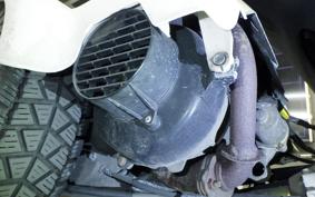 HONDA GYRO X 2025 TD01