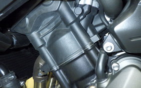 TRIUMPH TIGER 660 SPORTS 2025