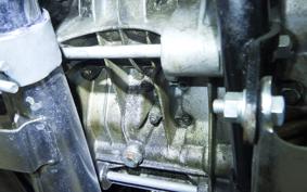 KAWASAKI 250SS 2010 S1F