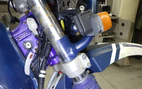 YAMAHA TT250R 2019 4GY