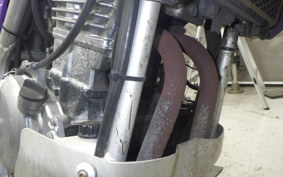 KAWASAKI KLE250