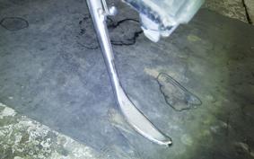 KAWASAKI ELIMINATOR 125 BN125A