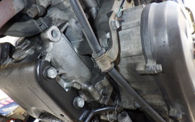 HONDA ZOOMER 2025 AF58