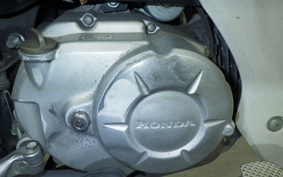 HONDA C50 SUPER CUB 2021 AA04