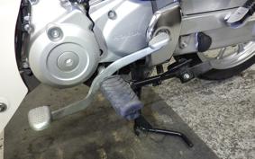 HONDA C110 SUPER CUB