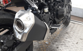 KAWASAKI Z900 2025 ZR900S