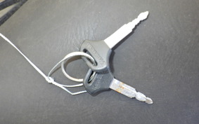 KAWASAKI BALIUS 250 Gen.2 ZR250B