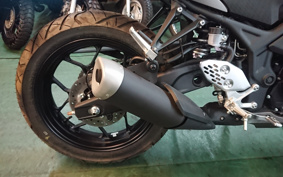 YAMAHA YZF-R25 RG74J