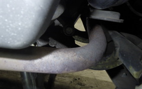 HONDA LEAD 110 2025 JF19