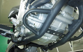 KAWASAKI KLX250D TRACKER X 2017 LX250V