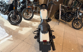 HARLEY  HARLEY XL1200NS 2019 LP3