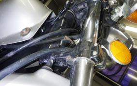 HONDA ELSINORE 250 MT250