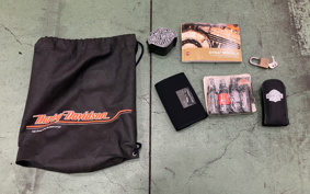 HARLEY FXDF1580 2010 GY4