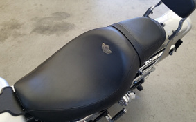 HARLEY FXDL 100th 2002 GDV