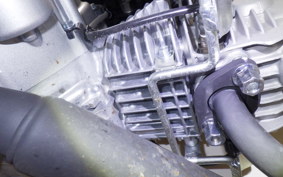 HONDA C110 SUPER CUB 2009 JA59