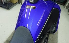 YAMAHA TENERE 700 2026 DM13J