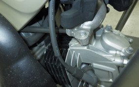 HONDA CT125 HUNTER CUB 2019 JA55