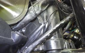 YAMAHA DT50 2025 17W