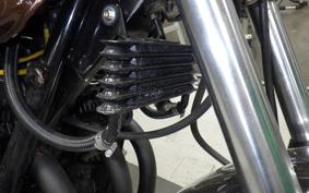 KAWASAKI Z1000 2025