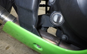 KAWASAKI NINJA 250R 2019 EX250K