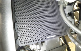 SUZUKI DL650 ( V-Strom 650 ) XTA 2023 C733M