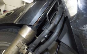 HONDA LEAD 110 JF19