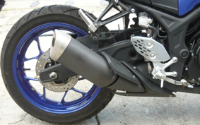 YAMAHA MT-25 ABS RG43J