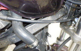 HONDA HORNET 250 MC31