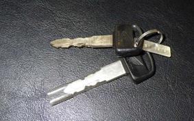 HONDA ｸﾛｽｶﾌﾞ110-3 2023 JA60