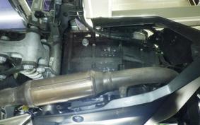 KAWASAKI Z250 SL BR250E