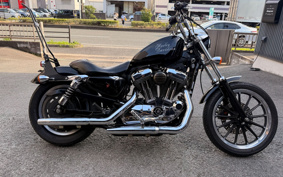 HARLEY XL1200L 2006 CX3