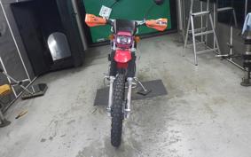 KAWASAKI SUPER SHERPA 2021 KL250G