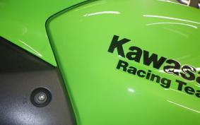 KAWASAKI NINJA 650 A 2024 ER650S