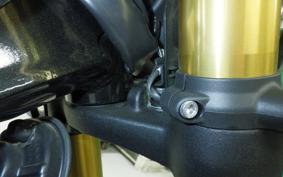 TRIUMPH SPEED 400 2024