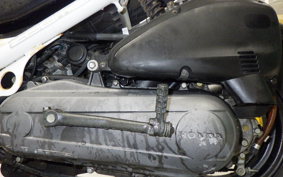 HONDA ZOOMER AF58