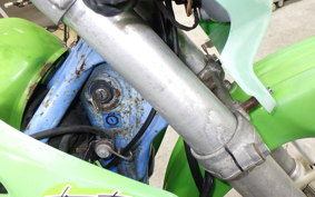 KAWASAKI KDX250SR 2013 DX250F