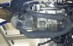 HONDA MONKEY 125 2010 JB03