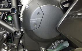 KAWASAKI NINJA H2 SX 2018 ZXT02A