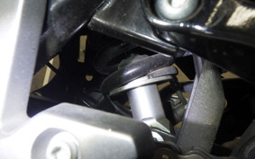 SUZUKI V-STROM 250