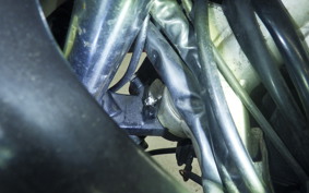 YAMAHA FZ250 1HX