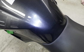 KAWASAKI NINJA 250 2019 EX250Y