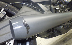 HARLEY FXDRS1870 2019