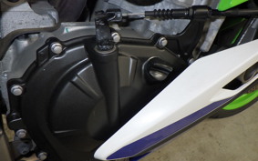 KAWASAKI ZX-4RR 2023 ZX400P