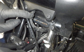 KTM 250 ADVENTURE 2024