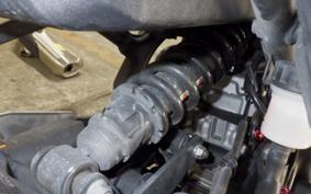 KAWASAKI ZX-4R SE 2024 ZX400P