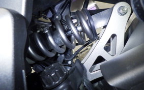 KAWASAKI NINJA 1000 SX 2021 ZXT02K